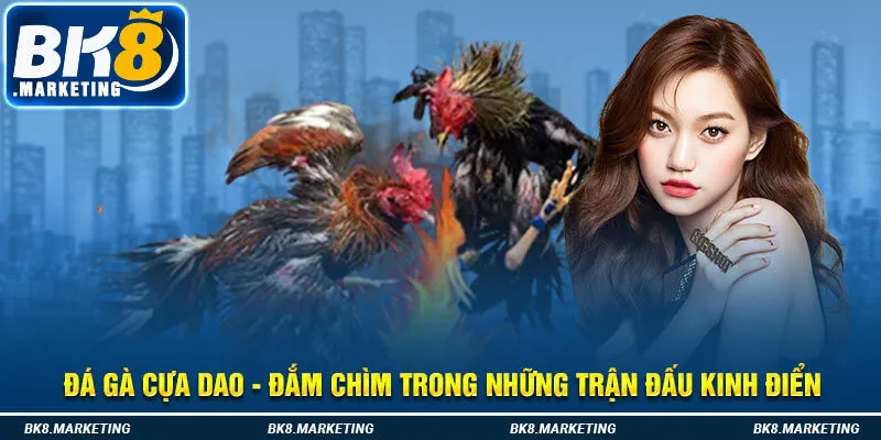 Đá Gà Cựa Dao - Đắm Chìm Trong Những Trận Đấu Kinh Điển